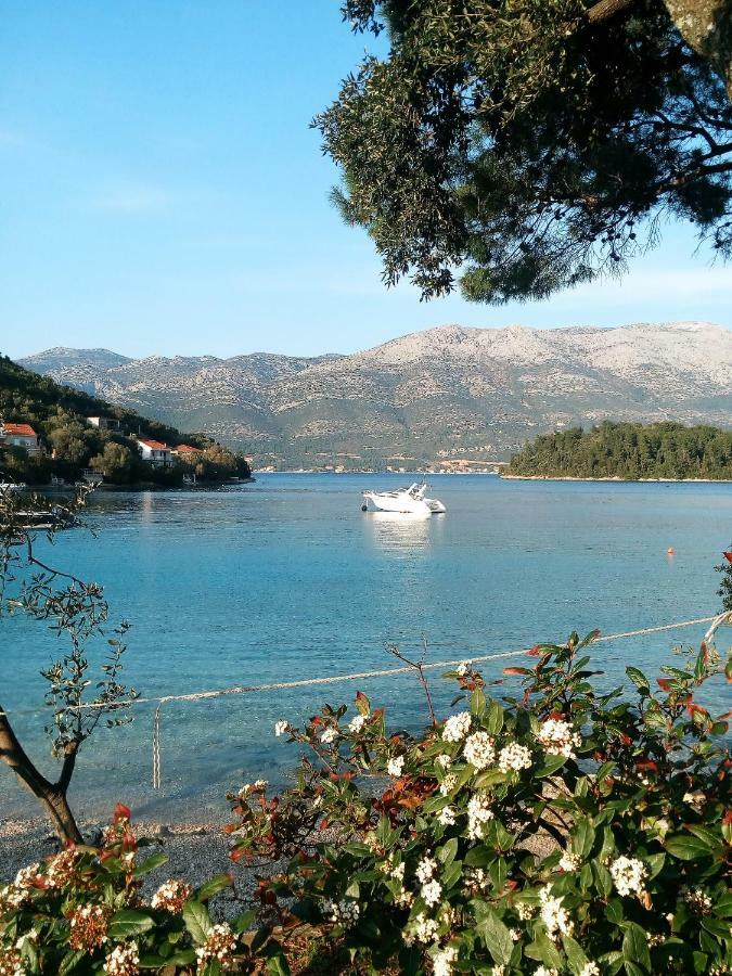 Apartments Milea Korčula Buitenkant foto